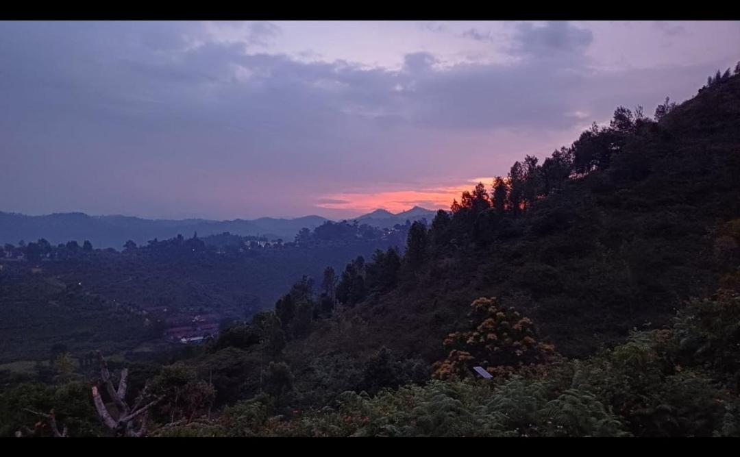 Villa Joy House - 1 Bhk Cozy Entire House (Adults Only) Ooty Esterno foto